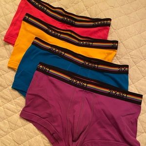 2(x)ist Pride brief trunk 4 pack size Large 2xist